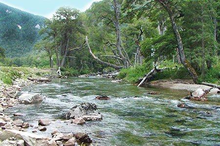 Ruta de los Siete Lagos
